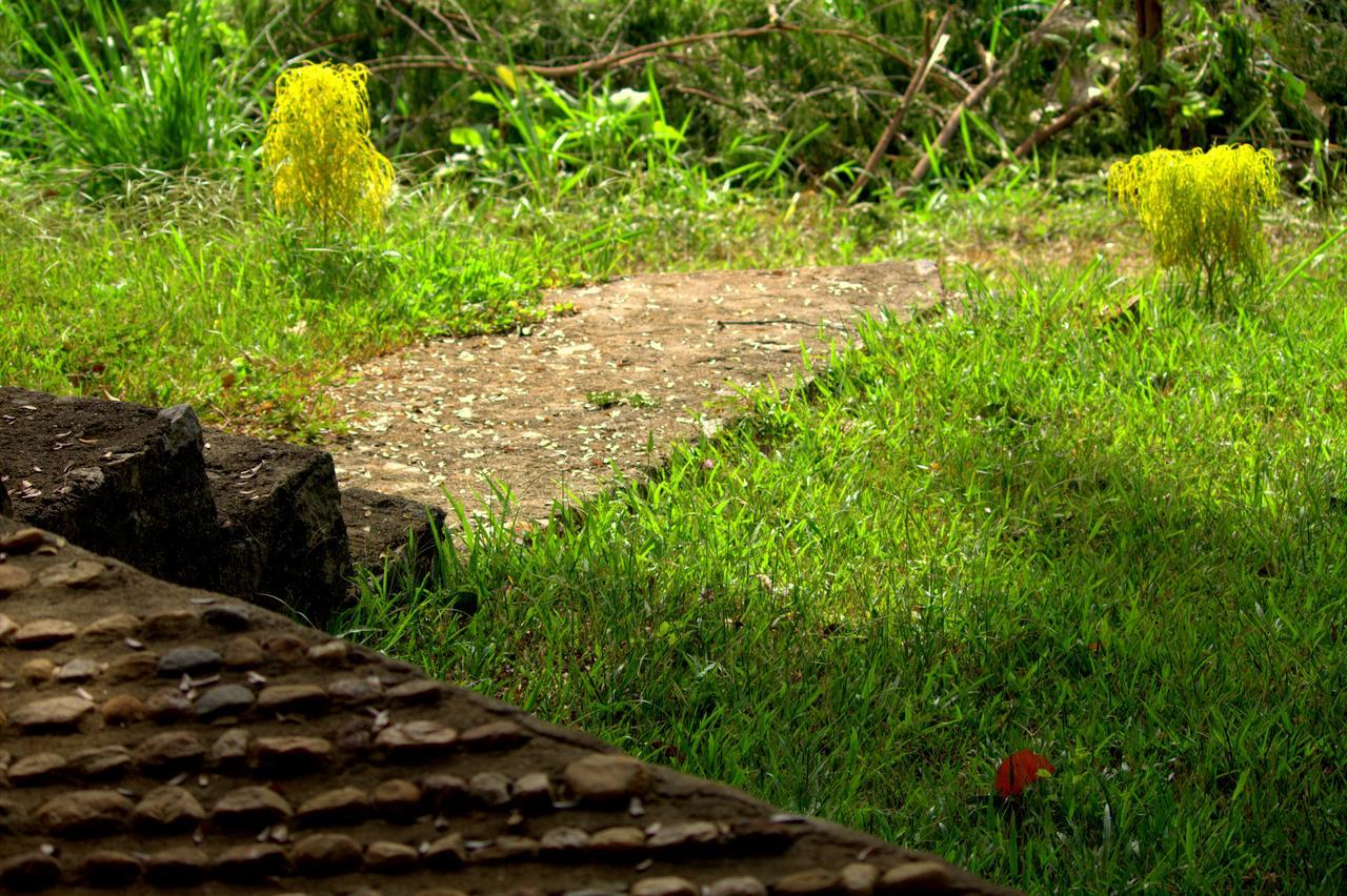 Pepper Hills Cottages Ella Exteriér fotografie