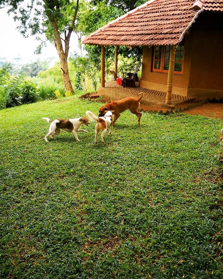 Pepper Hills Cottages Ella Exteriér fotografie